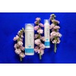 Quintessenza CREMA VISO anti age 50 ml - Juveniis Biocosmetica